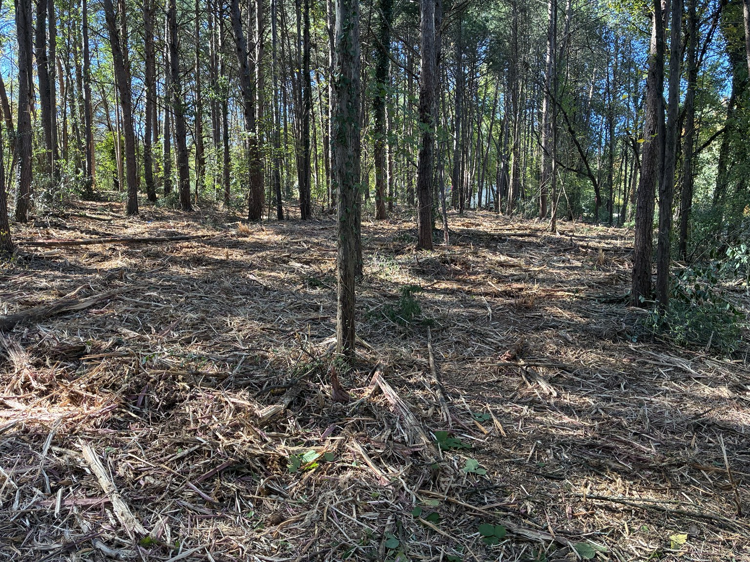 Macon Land and Site Development project photography: grading, excavation, clearing and construction site preparation