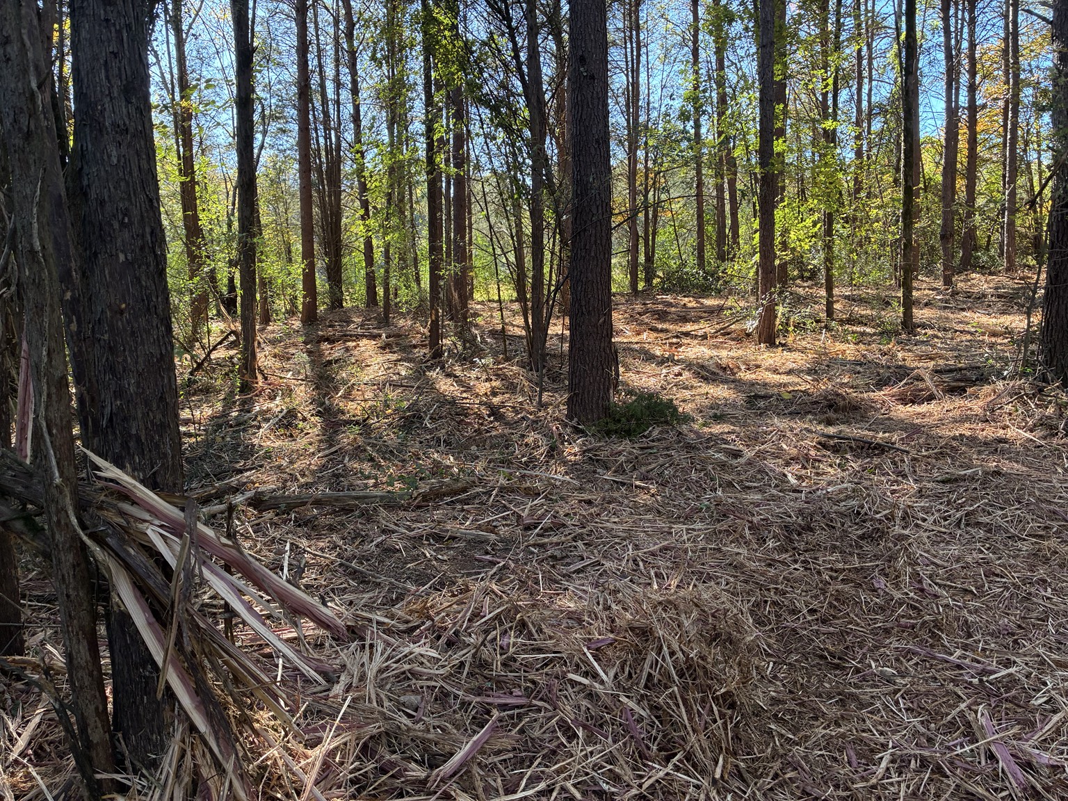 Macon Land and Site Development project photography: grading, excavation, clearing and construction site preparation